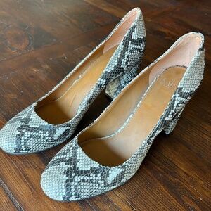 Franco Sarto Aziza Snake Printed Heels 8.5